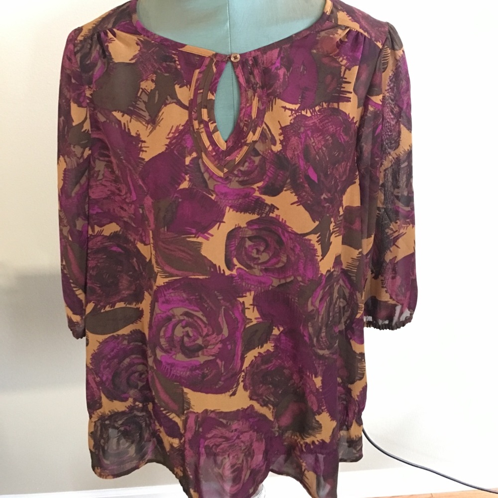 Just My Size Fall Colored Blouse